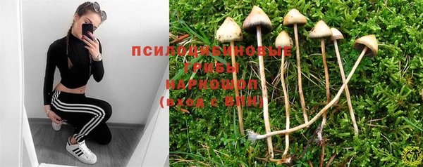 мет Алзамай